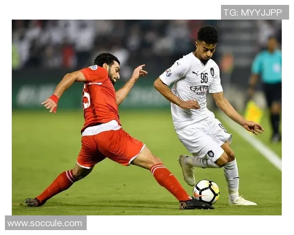 和平精英战术解析V5战队防守体系的核心策略与实战应用